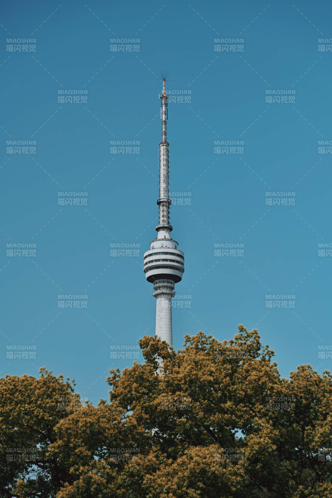 武汉龟山电视塔图片