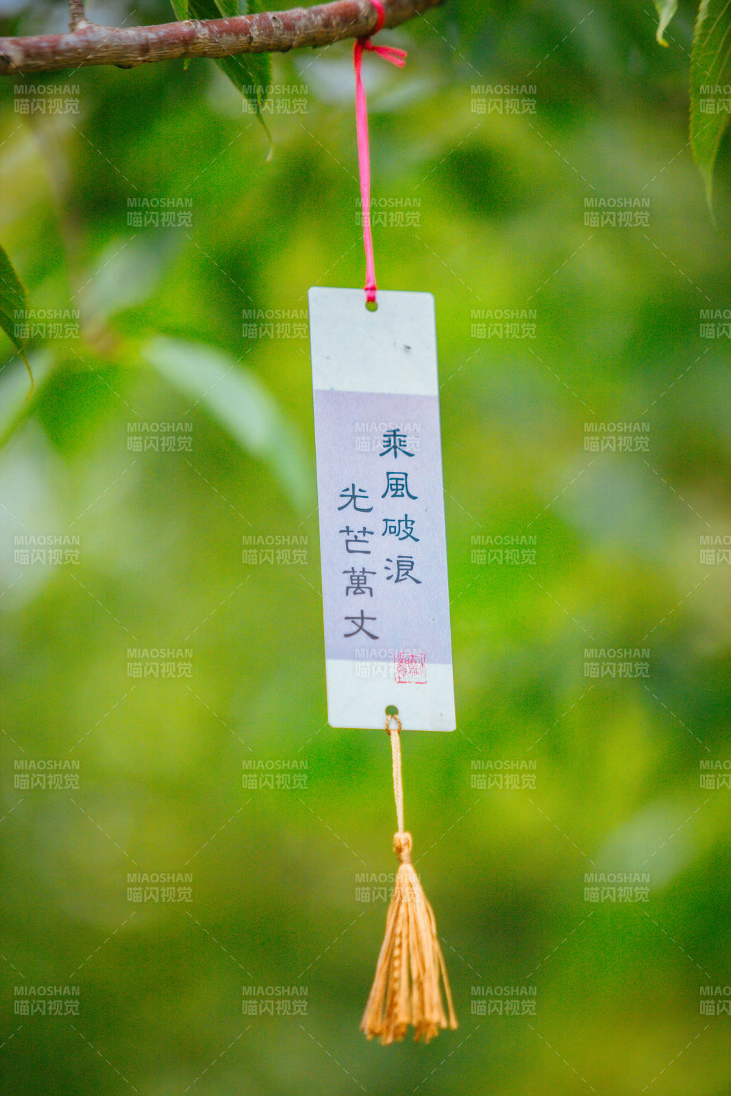 乘风破浪 光芒万丈图片