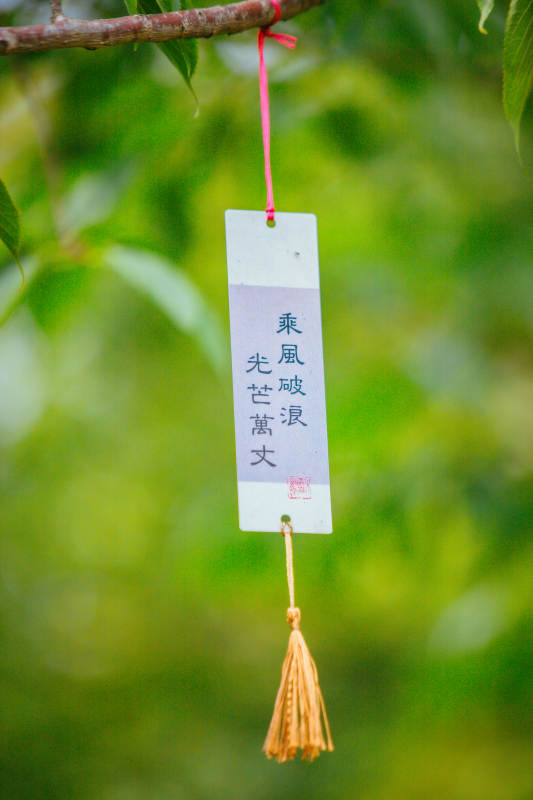 乘风破浪 光芒万丈图片