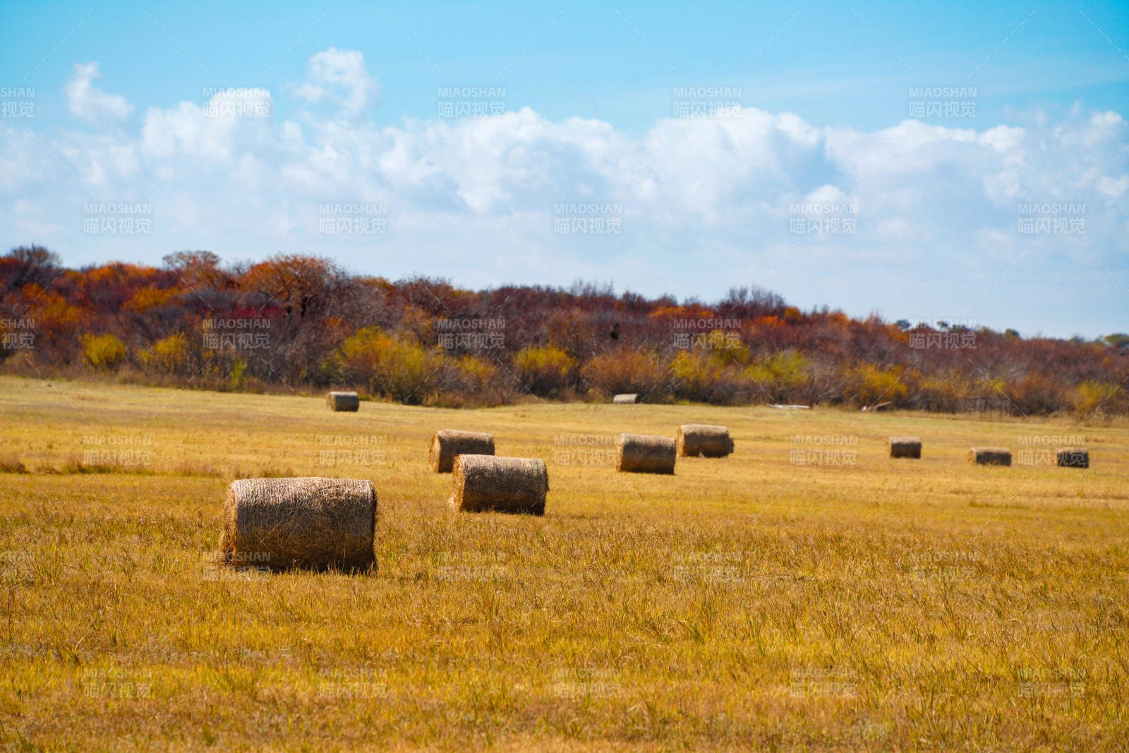 内蒙古金秋田野草垛图片