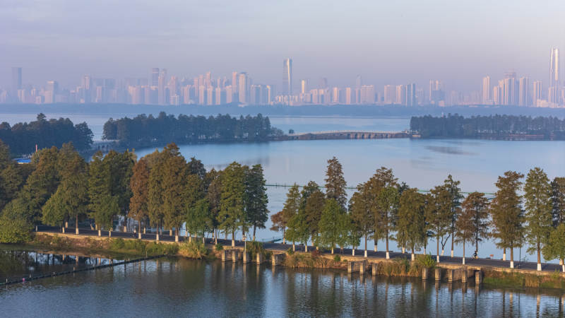 东湖磨山湖畔城市风光图片