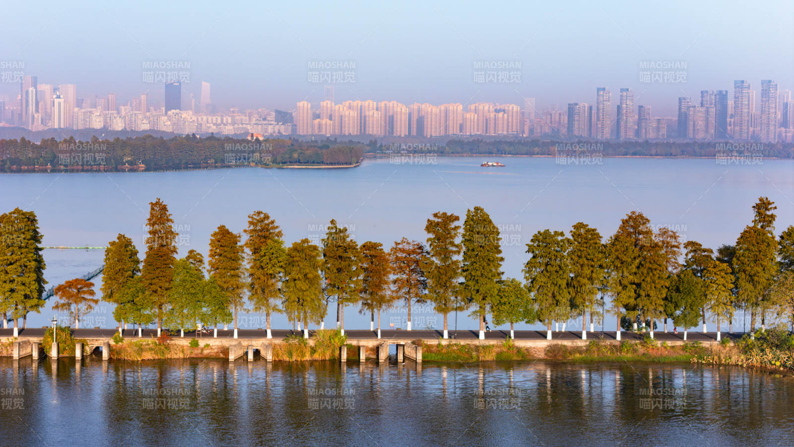 东湖磨山湖畔秋景城市天际线图片