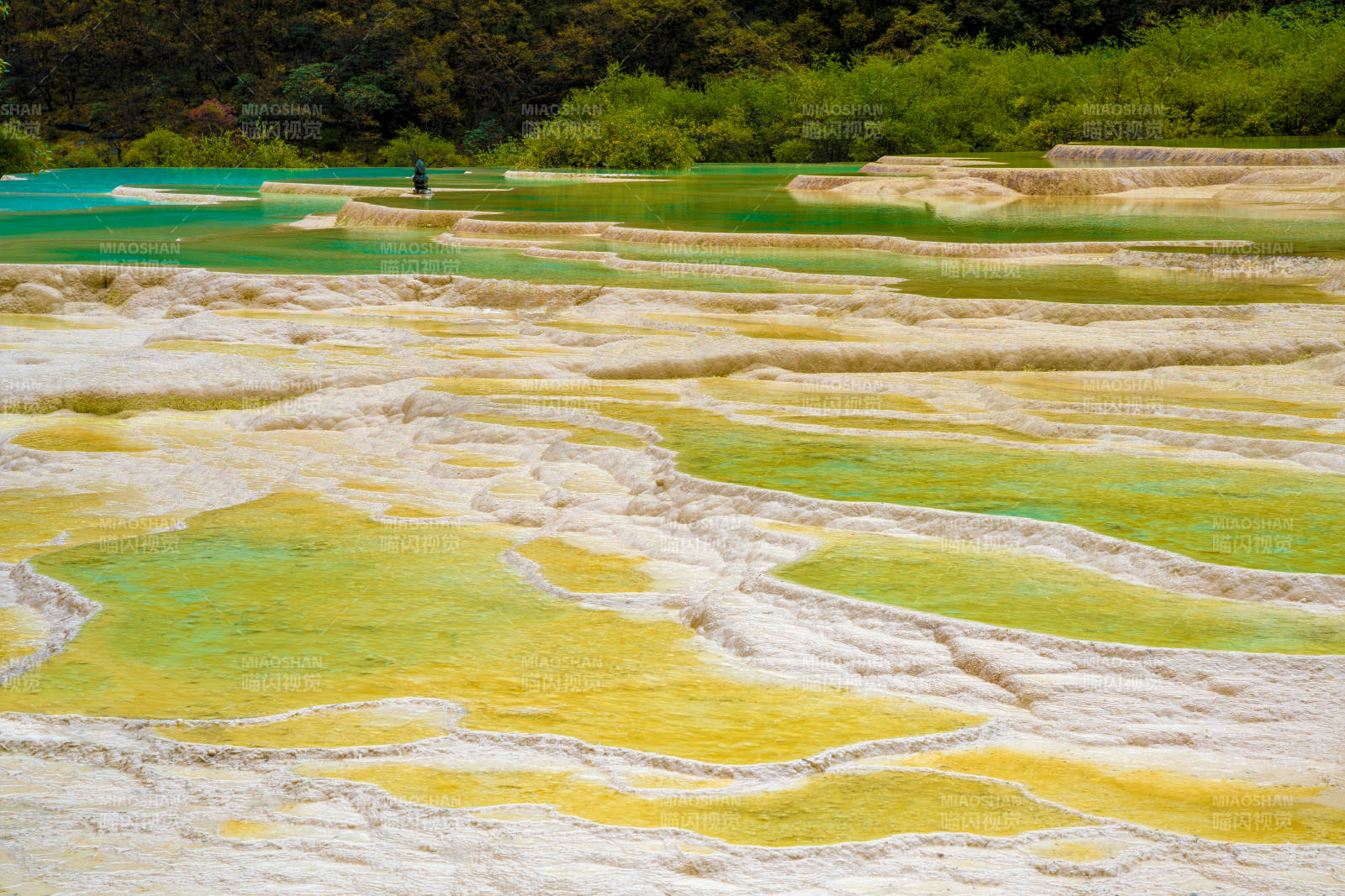 黄龙景区五彩池奇观图片