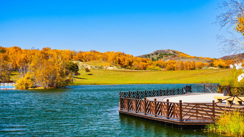 乌兰布统公主湖秋天木栈道图片