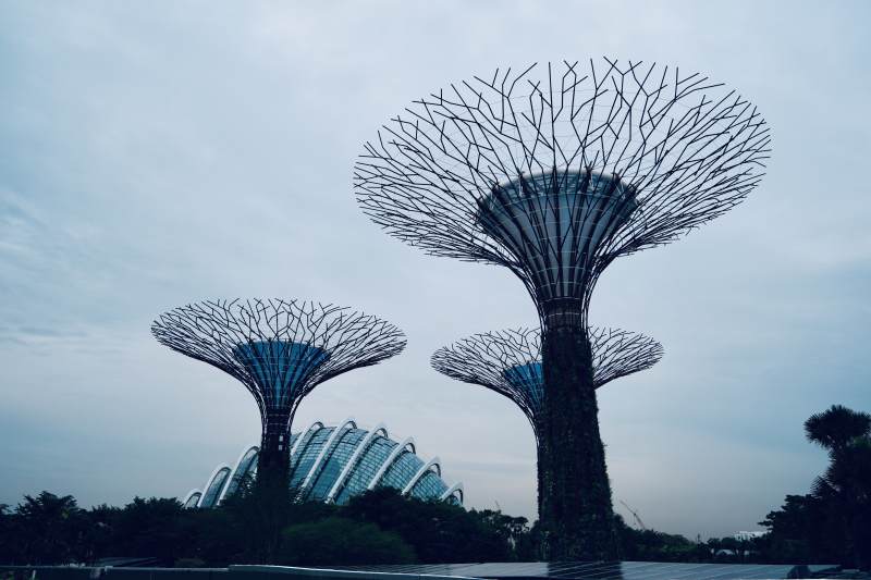 新加坡超级树滨海湾花园图片