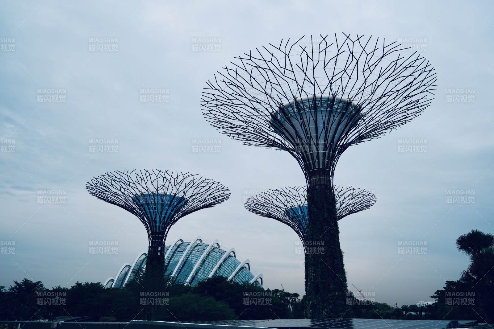 新加坡超级树滨海湾花园图片