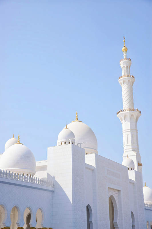 谢赫扎耶德清真寺穹顶图片