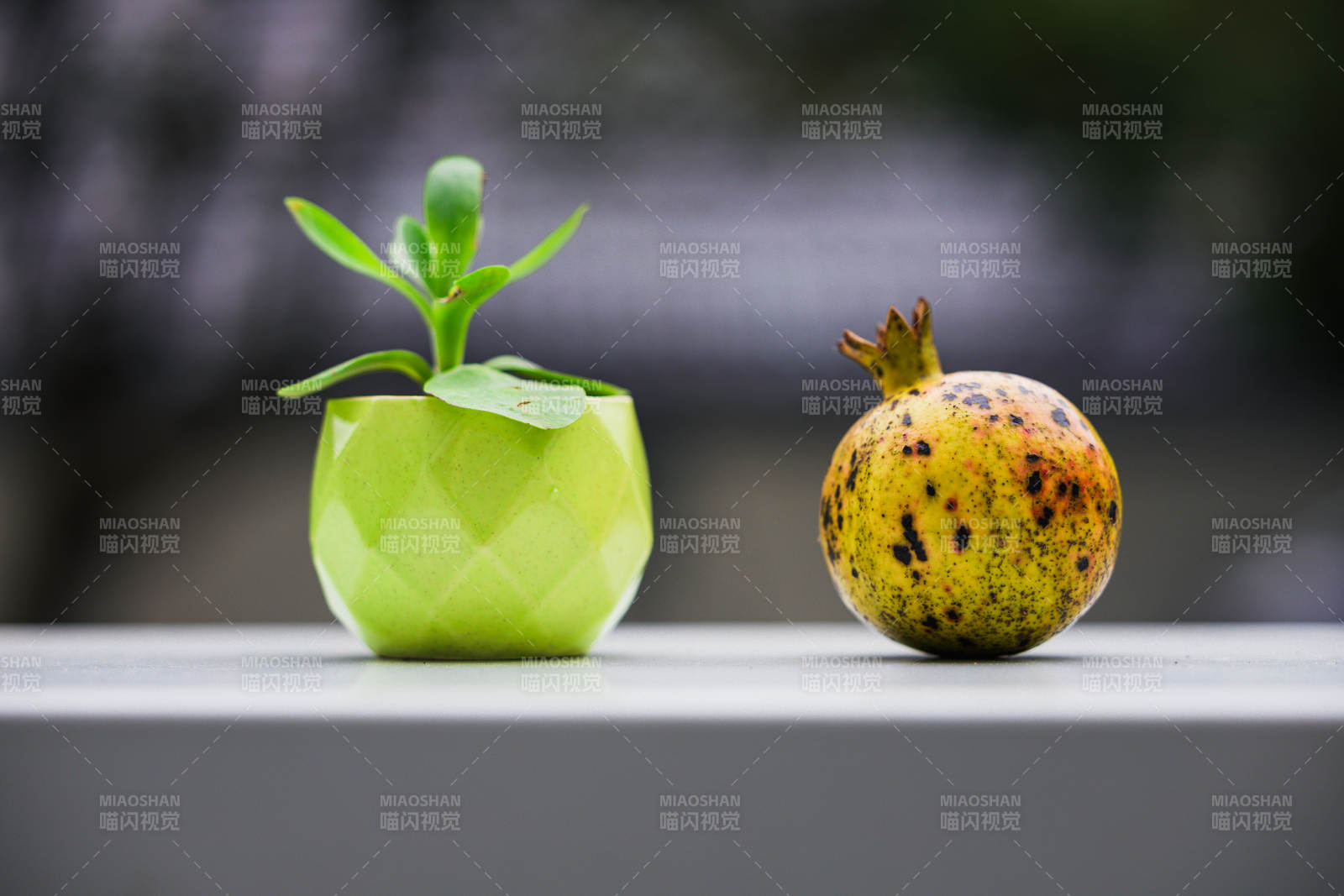 绿植与石榴静物图片