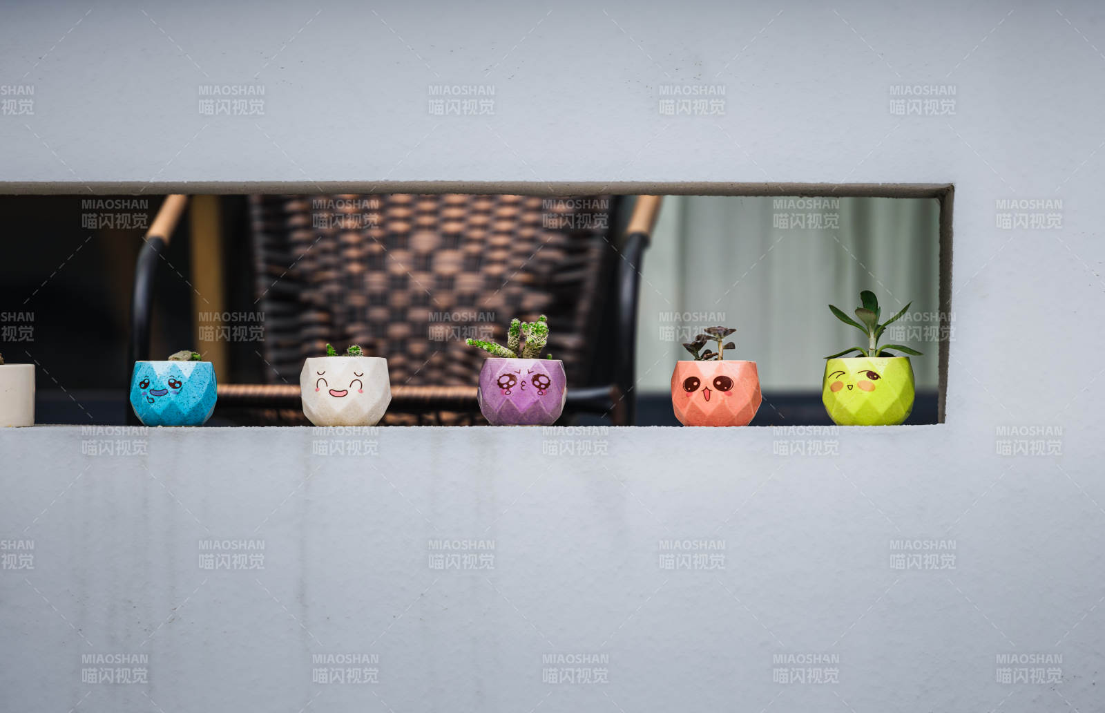 萌趣小盆栽图片