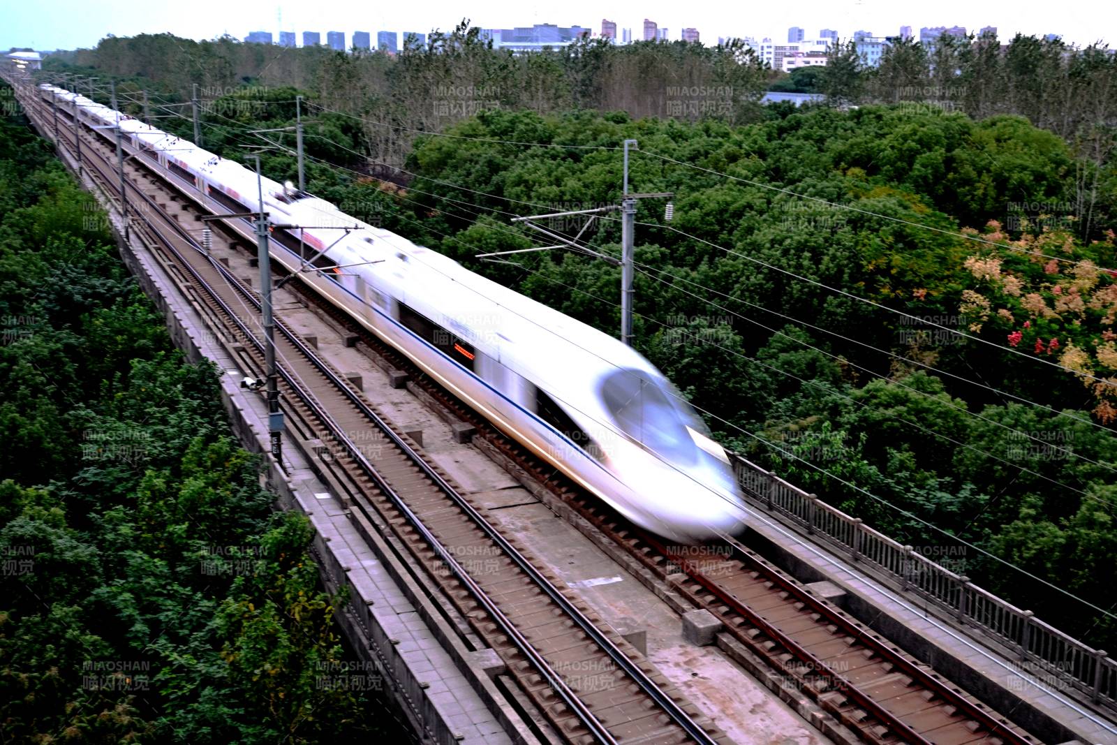 高速列车穿行林间图片