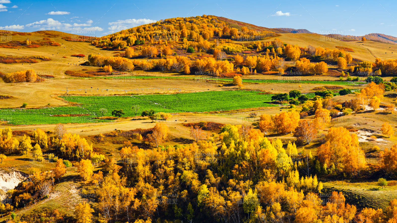 乌兰布统秋日山野风光图片