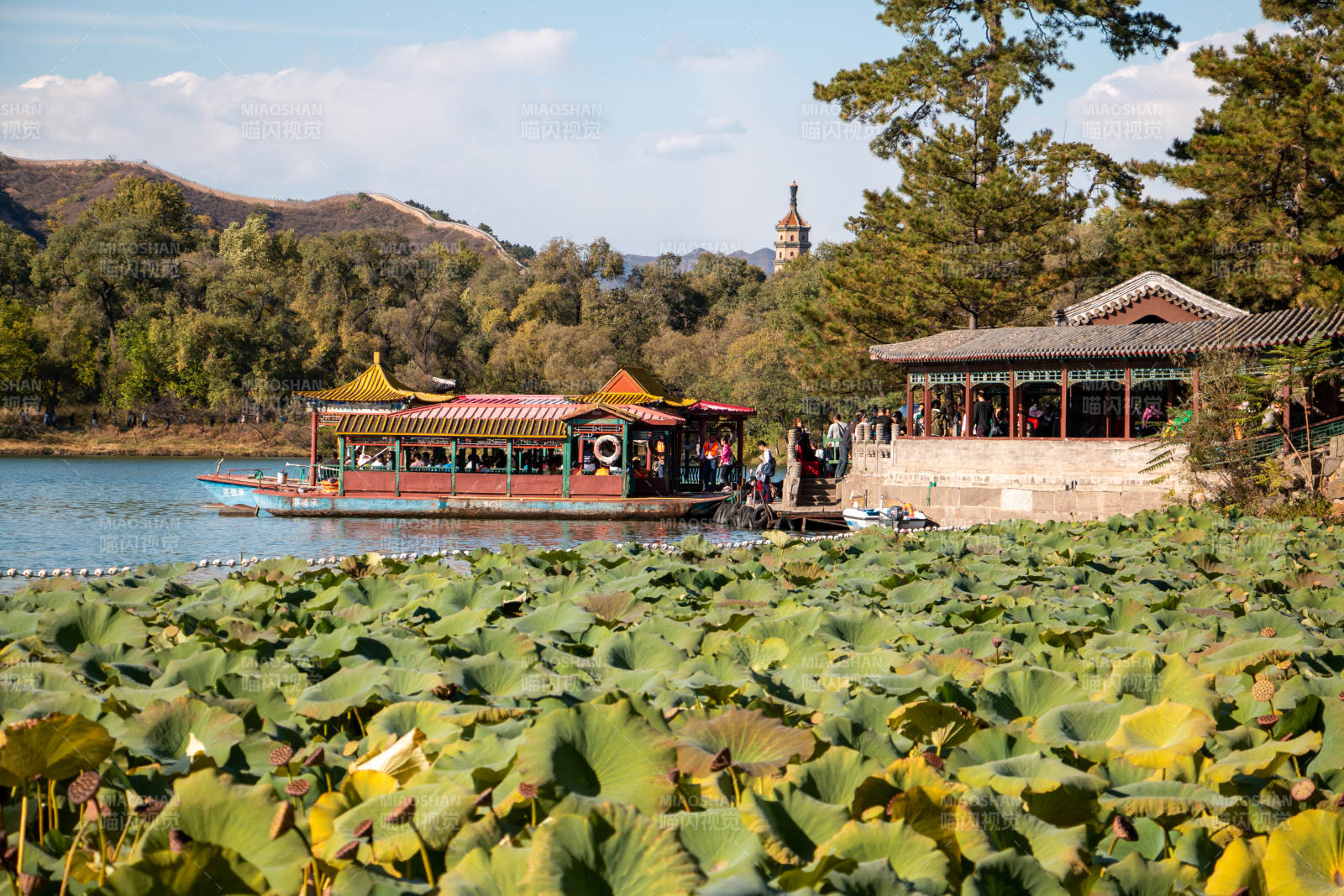 承德小避暑山庄湖畔游船赏荷景图片