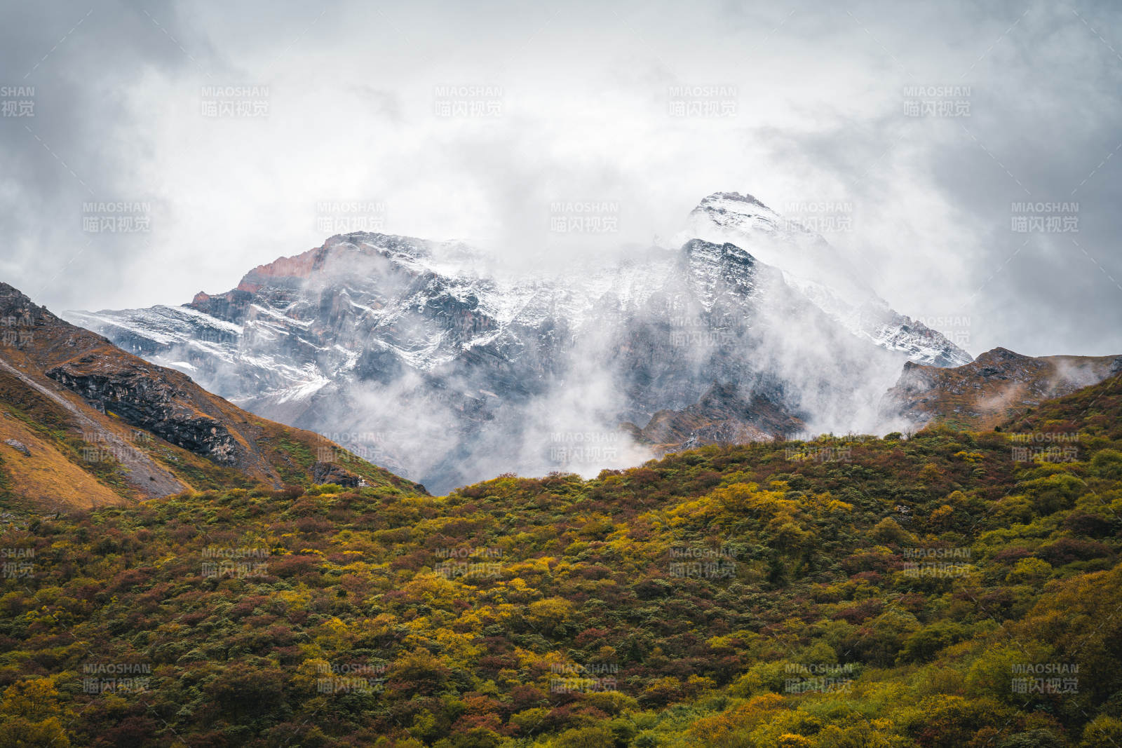 雪山云雾缭绕 四川九寨沟图片