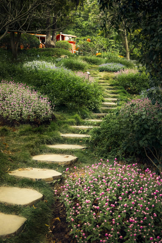 花园小径花海图片