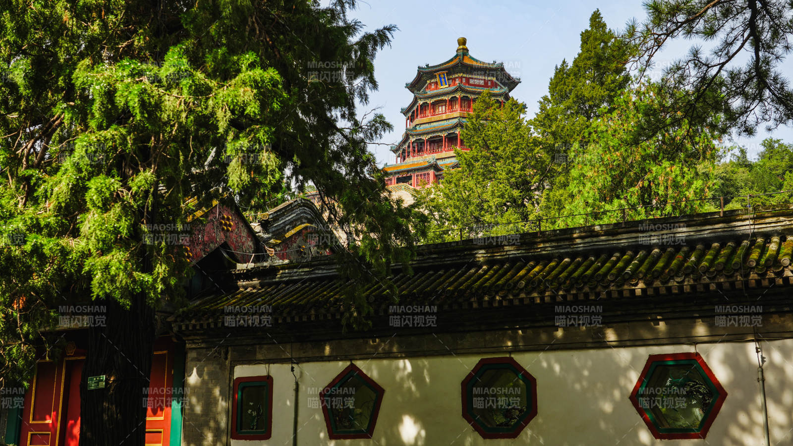 佛香阁古塔隐于绿树间图片