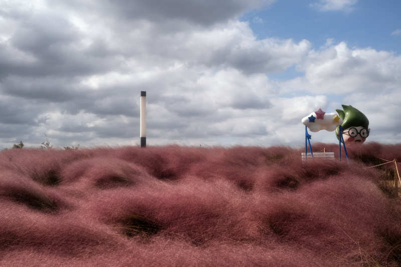 粉红花海中的奇趣雕塑图片