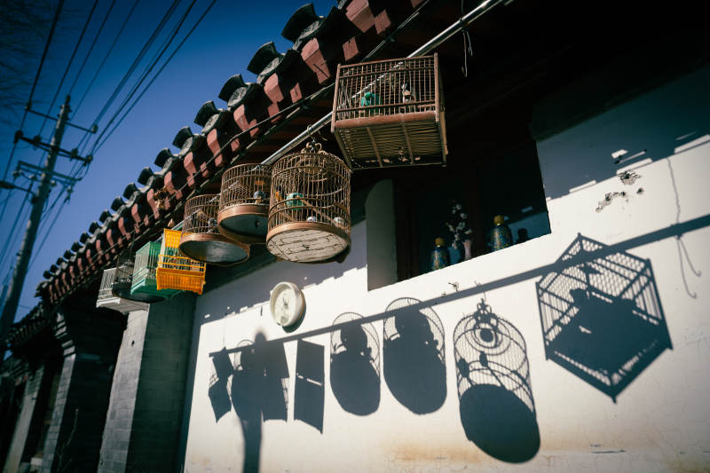 鸟笼影子墙图片