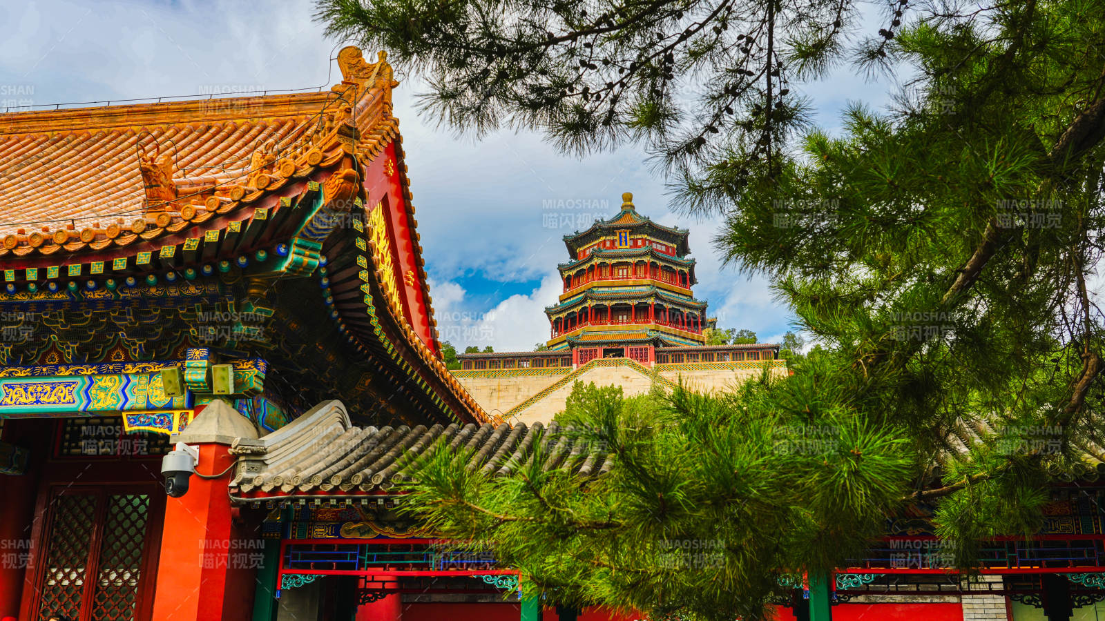 颐和园古建筑与松树相映图片