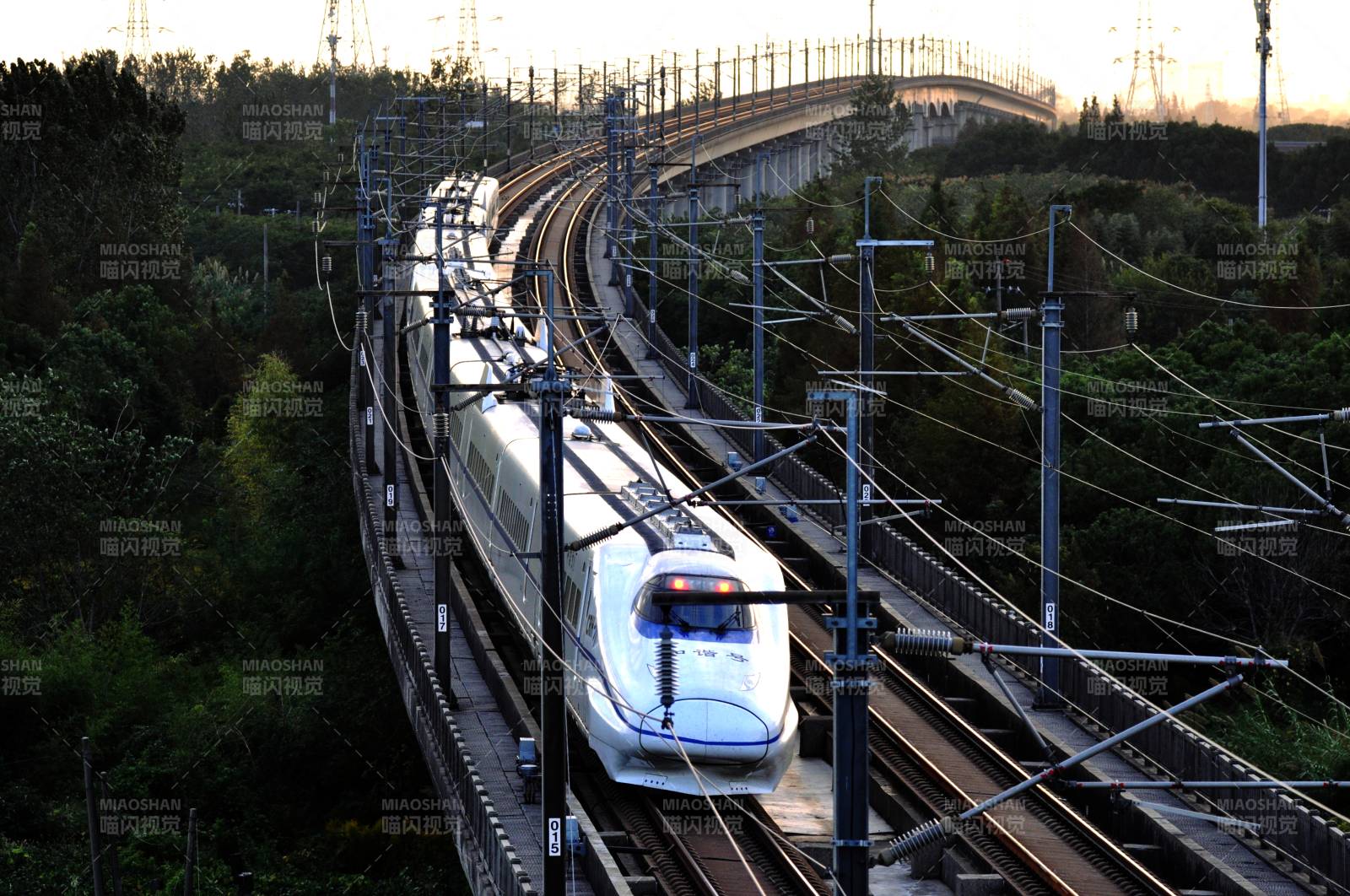 高速列车穿行林间图片