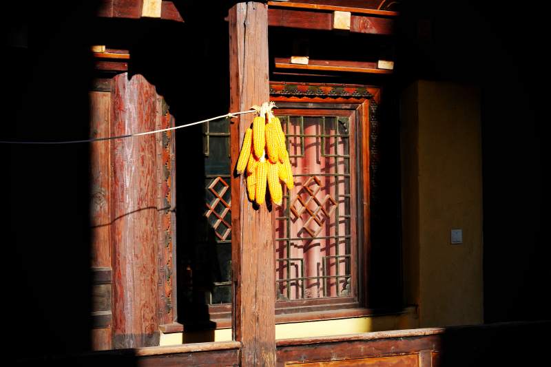 窗前挂玉米图片