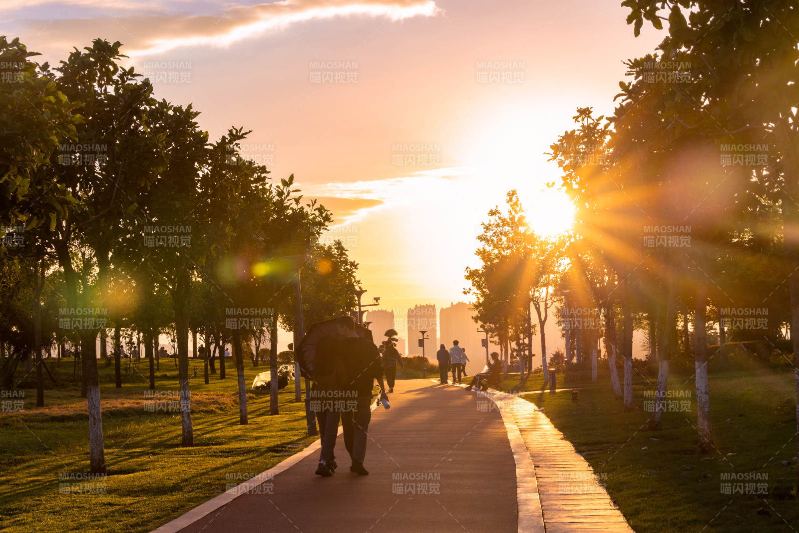 夕阳下的公园小径图片