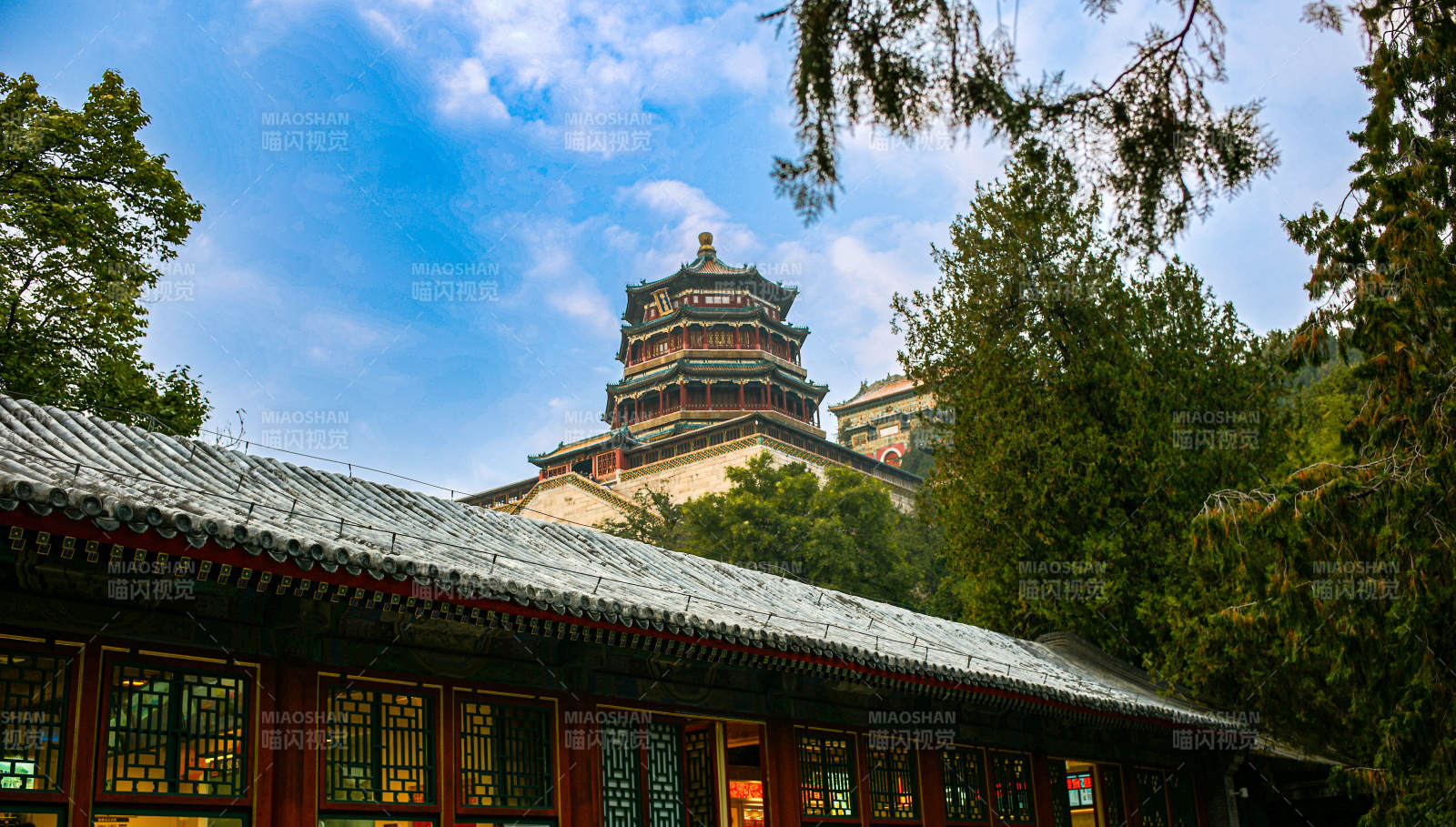 颐和园佛香阁—古塔映翠林图片