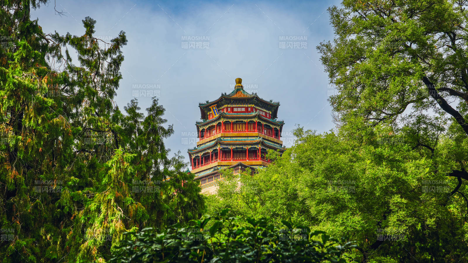 颐和园佛香阁古塔隐于绿树间图片