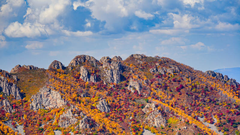 赤峰盔甲山秋山彩林图片