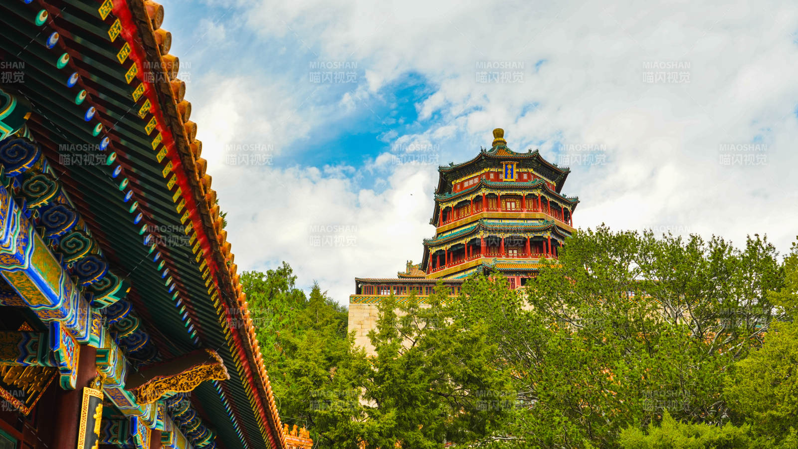 颐和园古塔映绿树图片