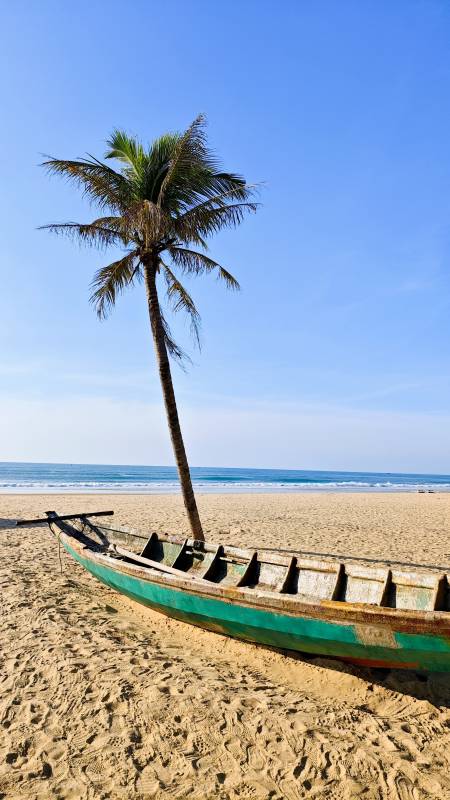 海南三亚南海沙滩上的椰树与渔船图片