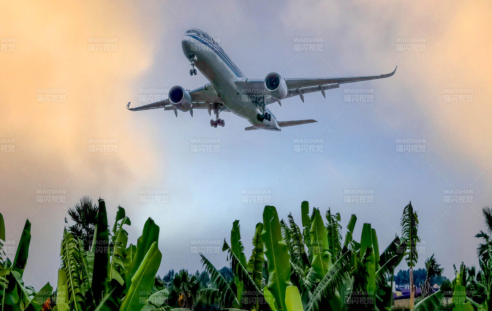 飞机飞越绿植图片