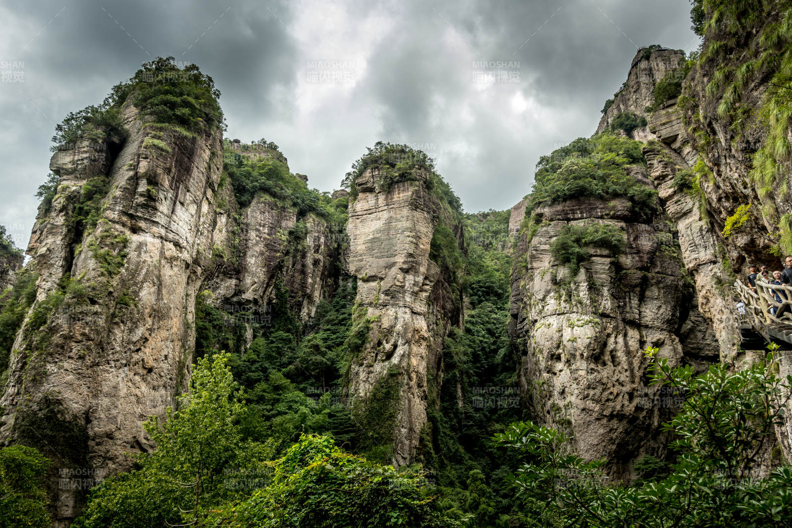 雁荡山奇峰耸立 绿意盎然图片