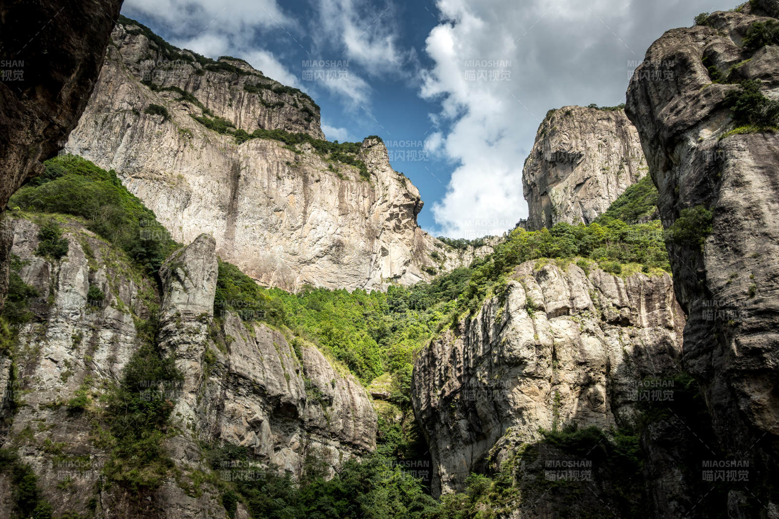 雁荡山峡谷奇峰 绿意盎然图片