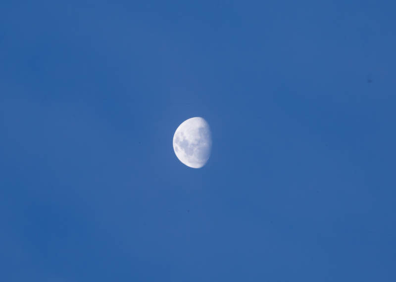 蓝空中的半月图片