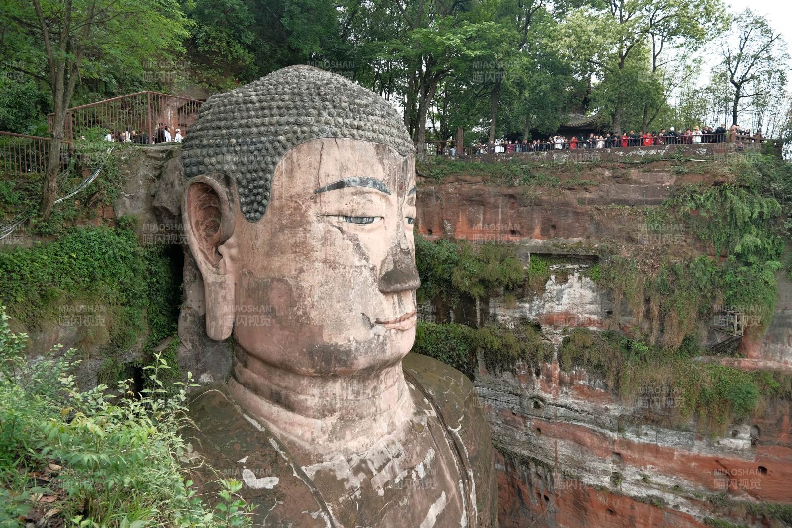 乐山凌云大佛近景图片