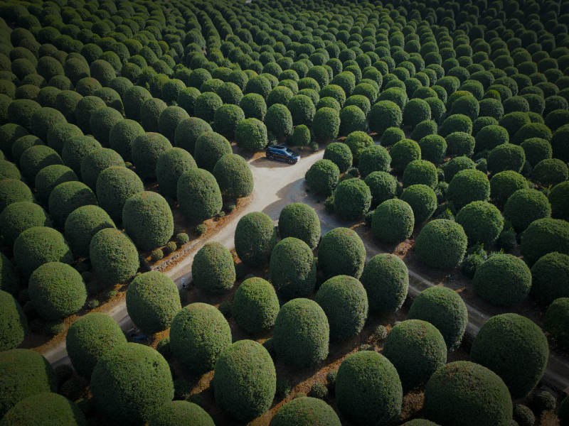 桂博园航拍图片