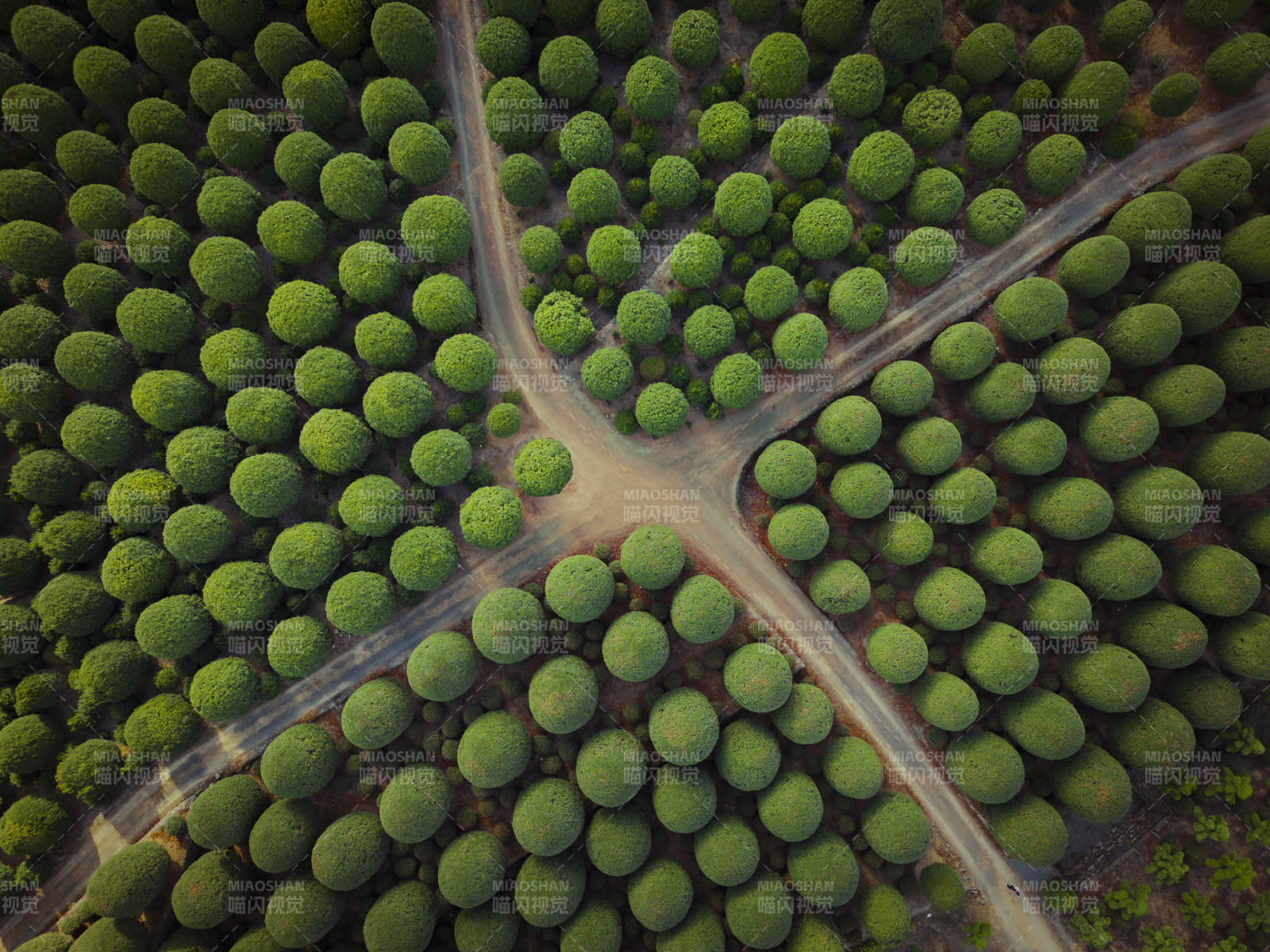 桂博园航拍图片