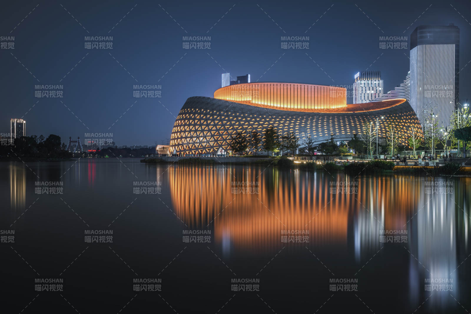 金沙湖大剧院夜色中的现代建筑图片