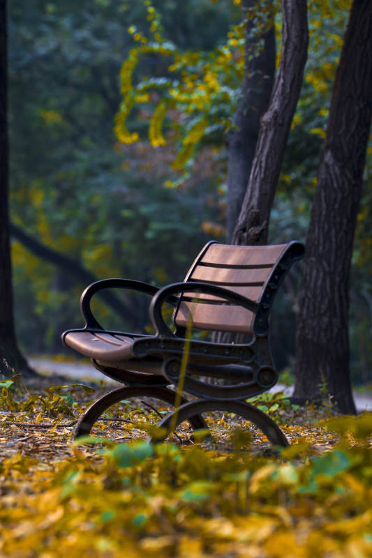秋林静椅图片