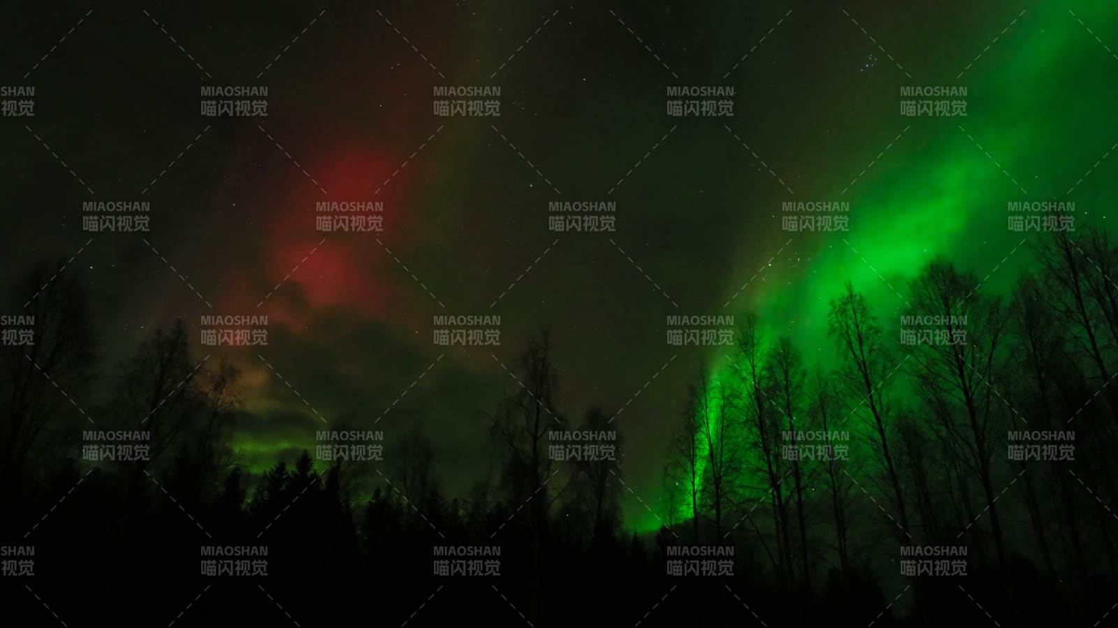 极光映林夜景图片