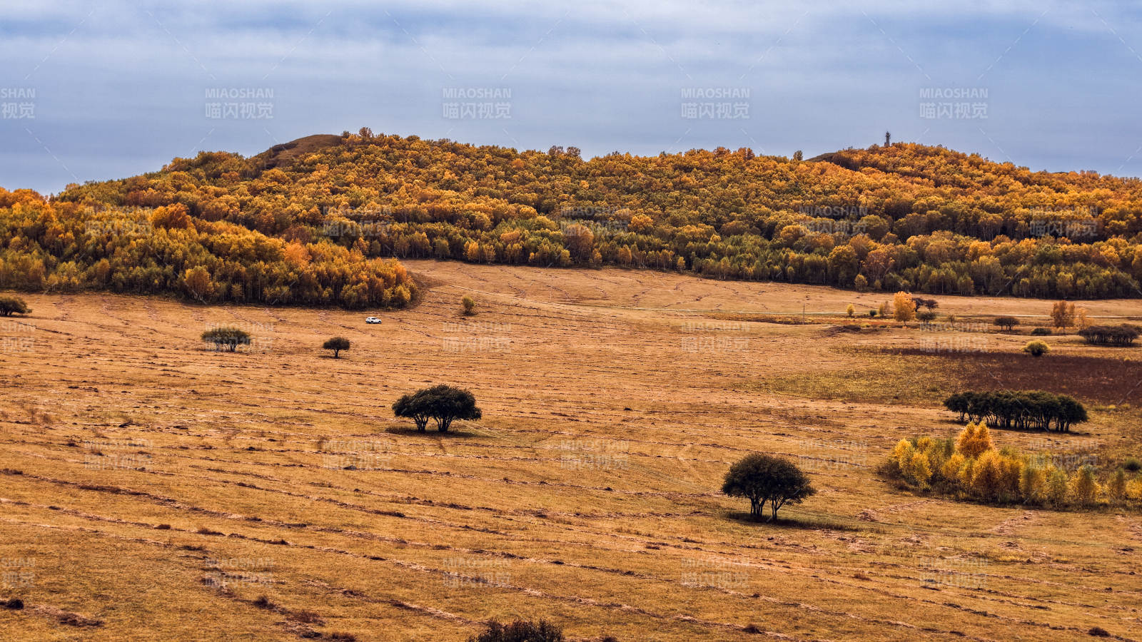 乌兰布统秋日草原风光图片