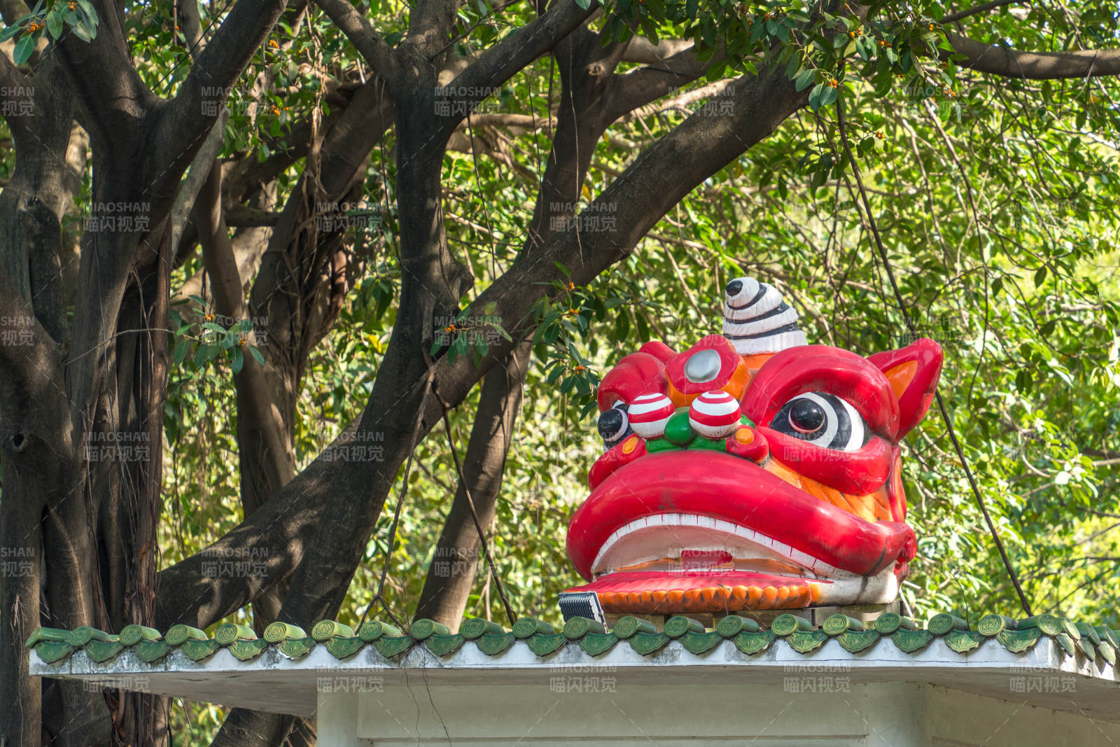 龙狮头饰树影间图片