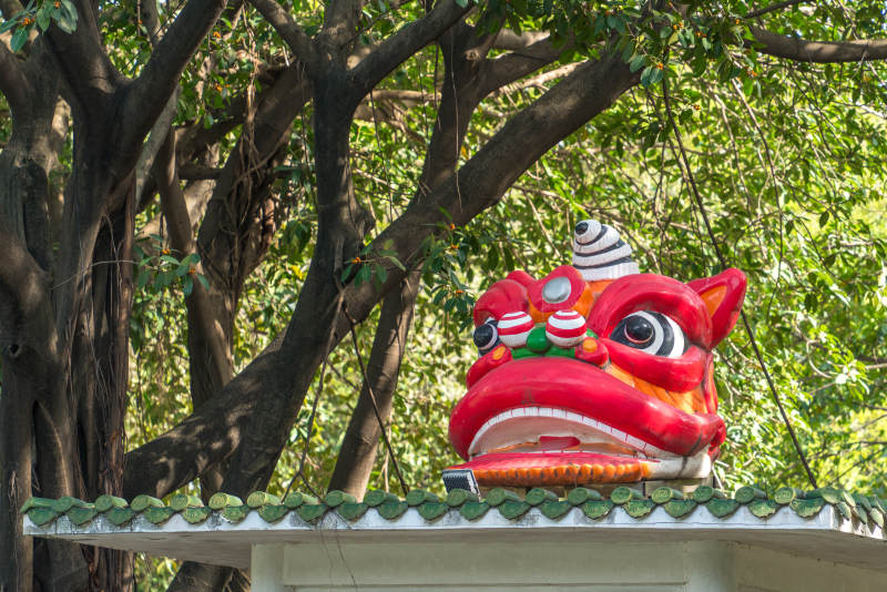 龙狮头饰树影间图片
