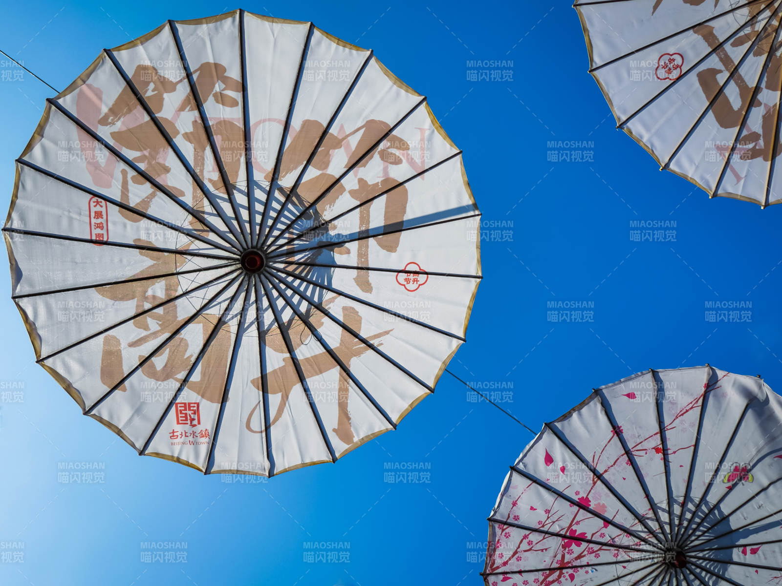 油纸伞映蓝天图片