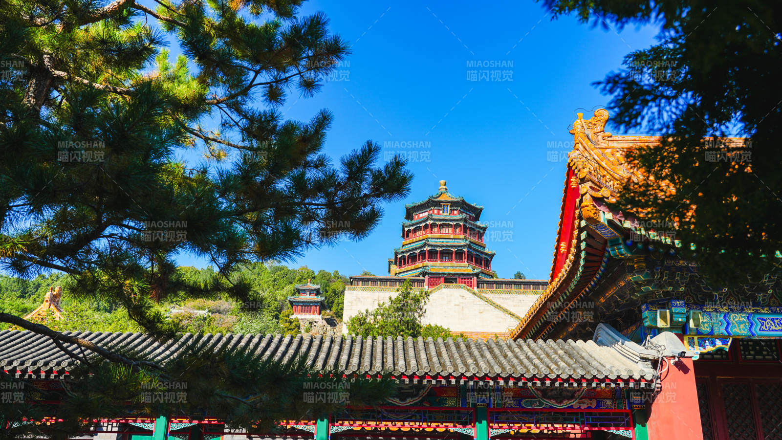 颐和园佛香阁春景图片