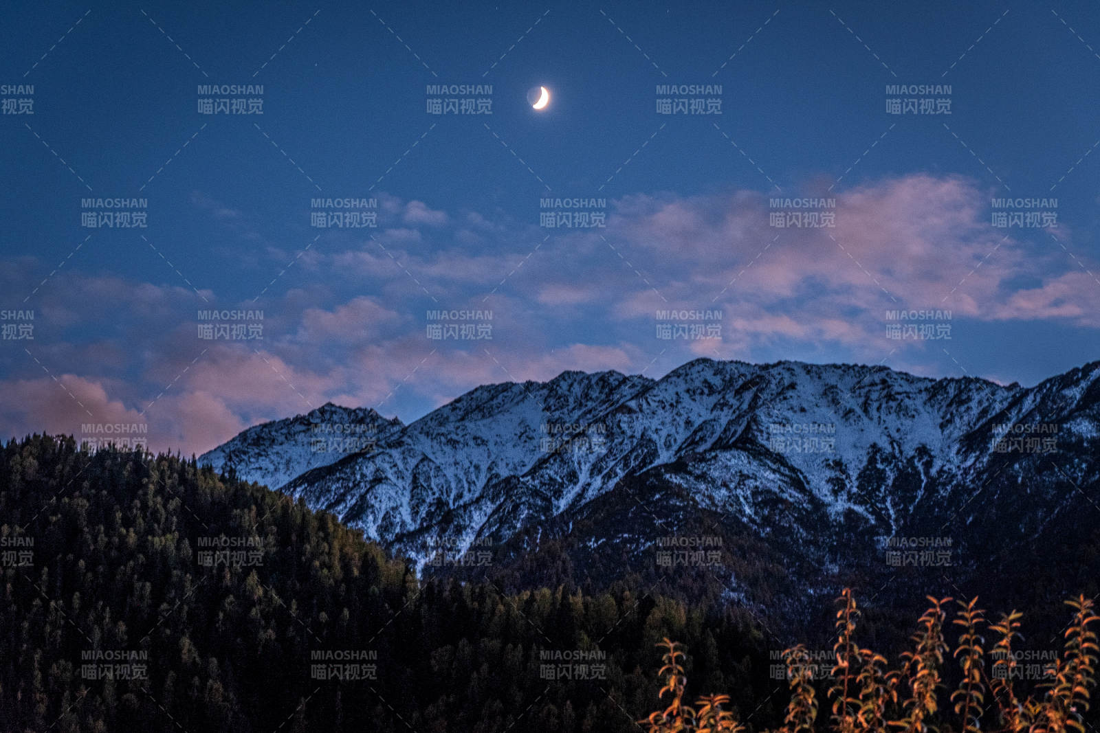 川西雪山秘境图片