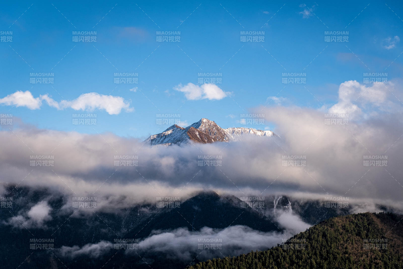 川西雪山秘境图片
