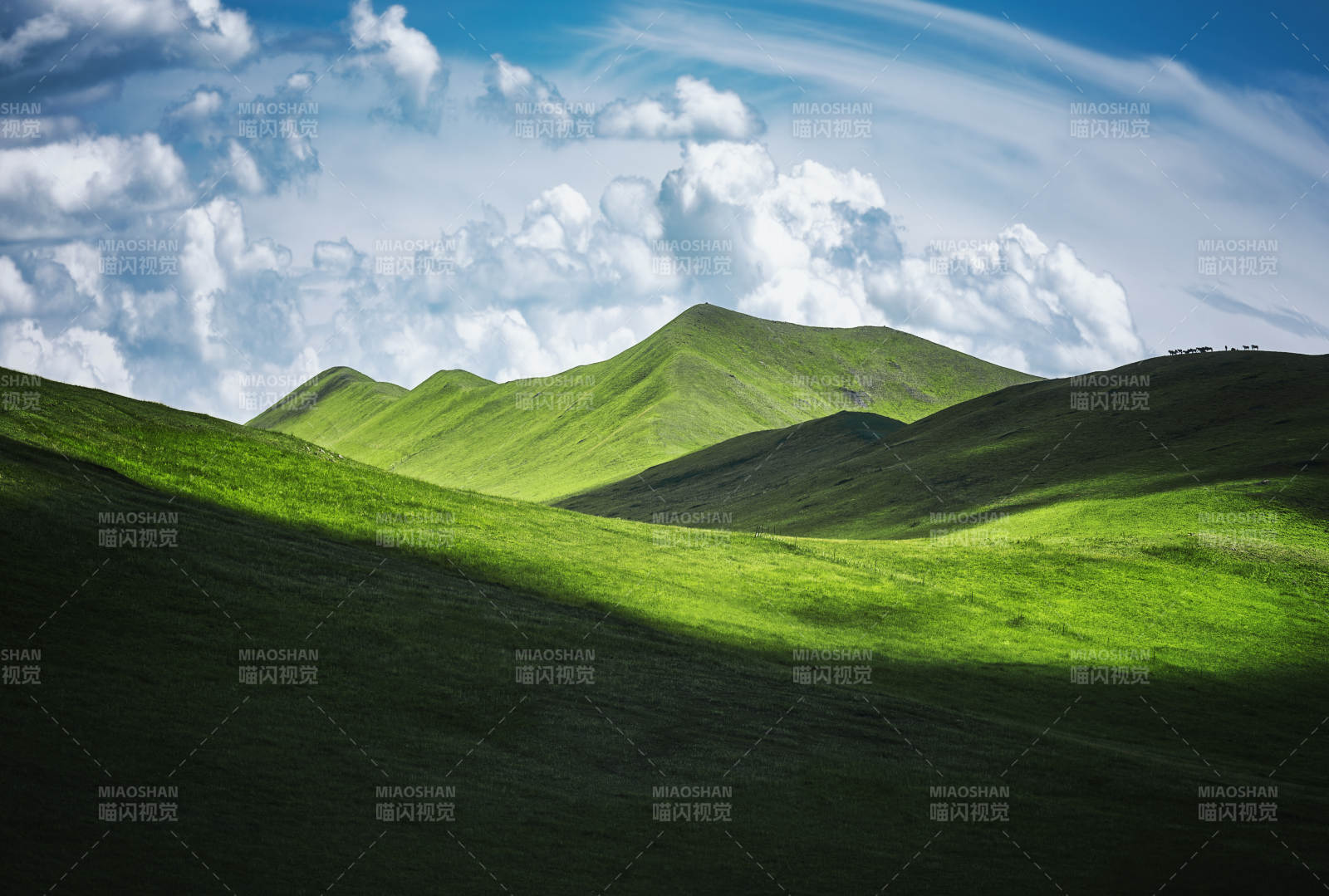 绿野青山云影  莫日格勒河景区图片