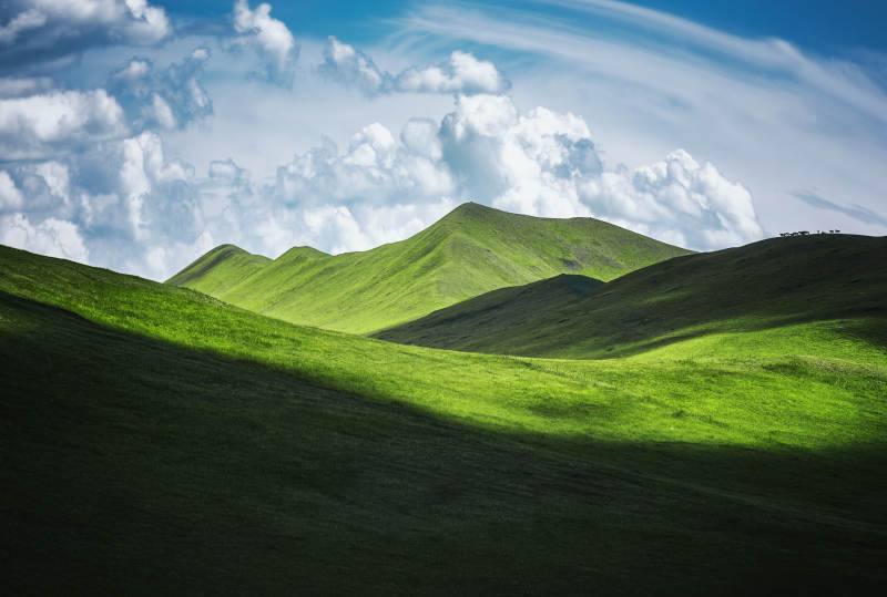 绿野青山云影  莫日格勒河景区图片