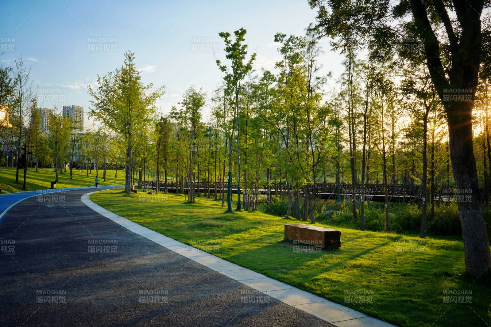 公园晨曦小径图片